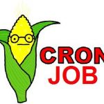 cronjob